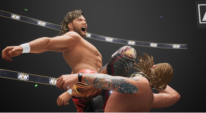 Actual product image THQ AEW: Fight Forever (PS4, DE)