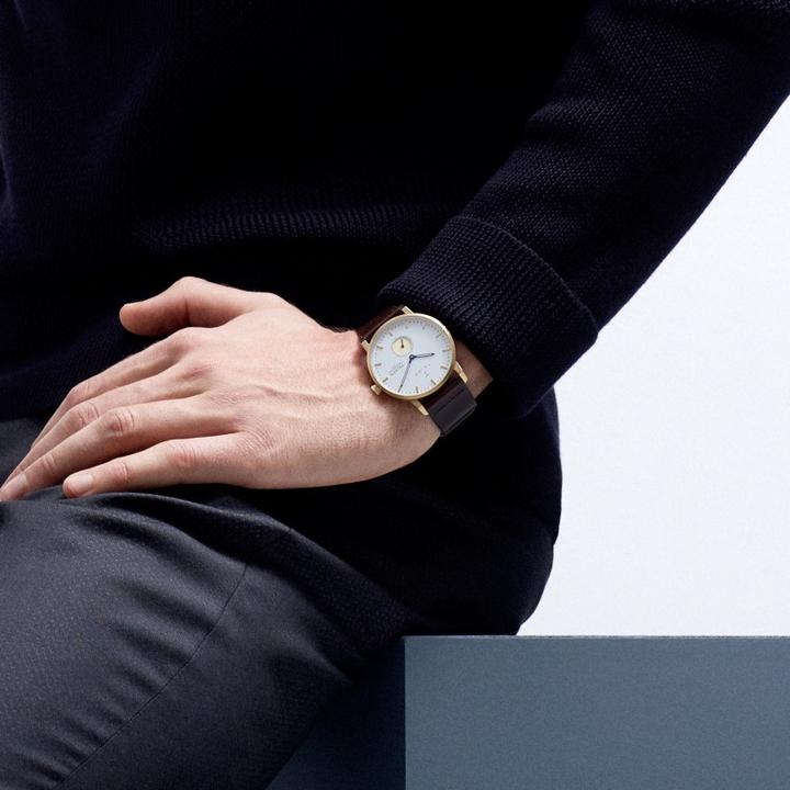 Actual product image Triwa Snow Falken Dark Brown Classic (Analogue wristwatch, 38 mm)