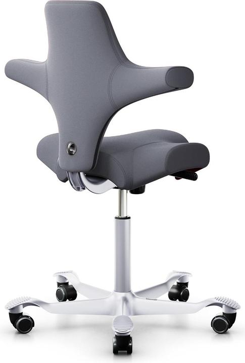 Image du produit HAG Capisco 8106