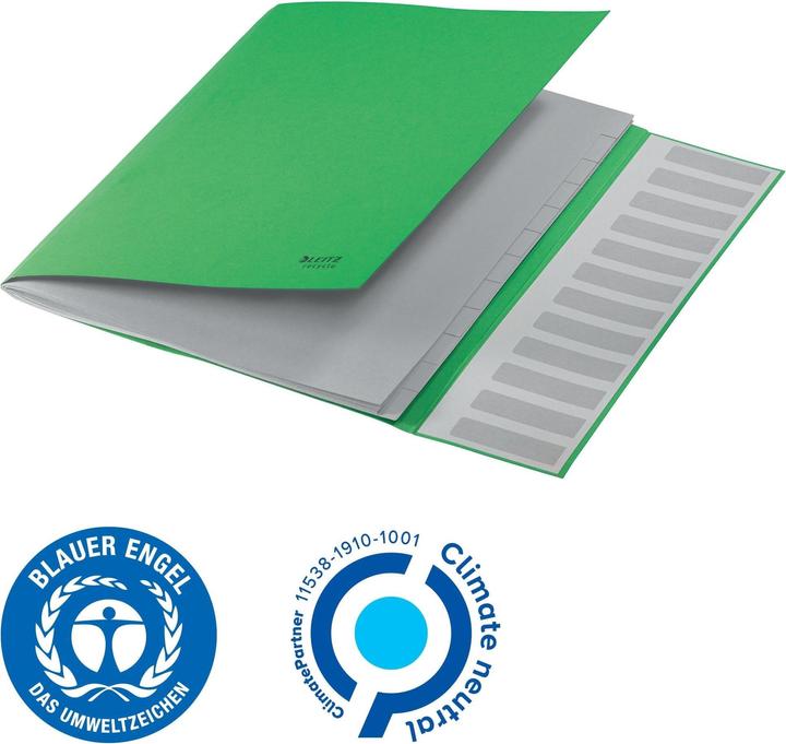 Image du produit Leitz Classeur Recycle A4 vert (A4, 1x)