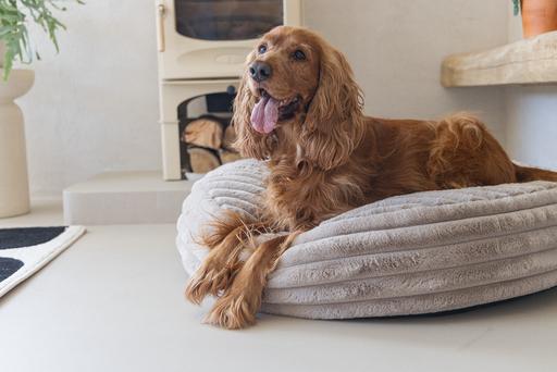 Produktbild Designed by Lotte Liegekissen Reza (Hund)