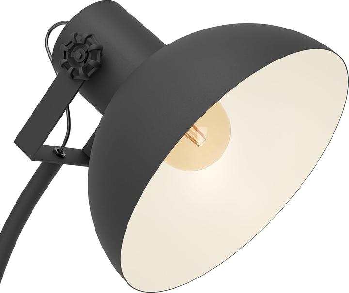 Actual product image EGLO Lubenham 1 (E27)