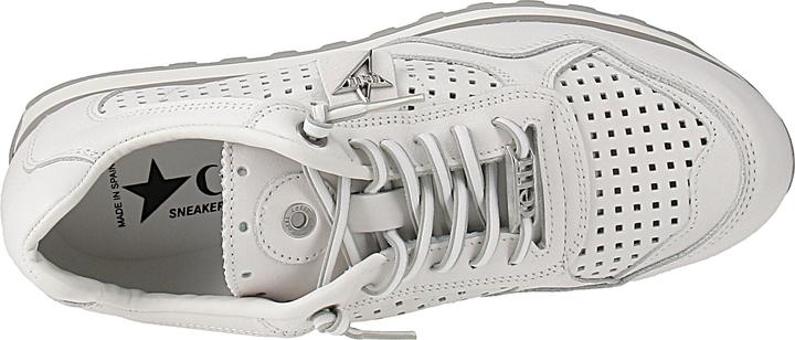 Image du produit Cetti C-848 V26 (42)