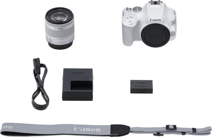 Actual product image Canon EOS 250D (18 - 55 mm, 24.10 Mpx, APS-C / DX)