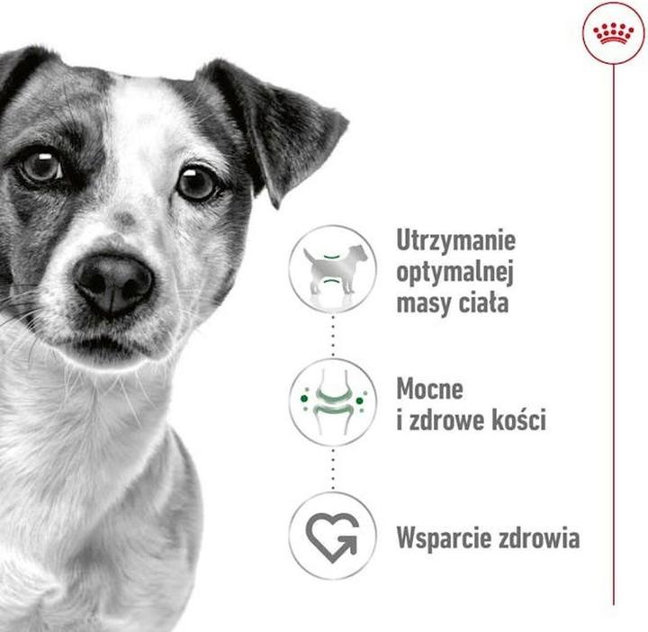 Image du produit Royal Canin Mini Adult (Adulte, 1 pcs, 4000 g)