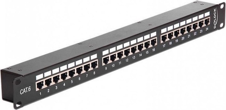 Actual product image Delock 19″ Coupling Patch Panel 24 Port Cat.6