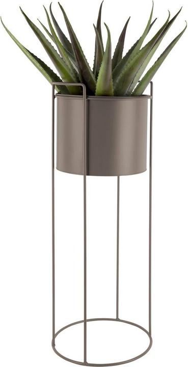 Produktbild present time Essence (28 x 80 cm)