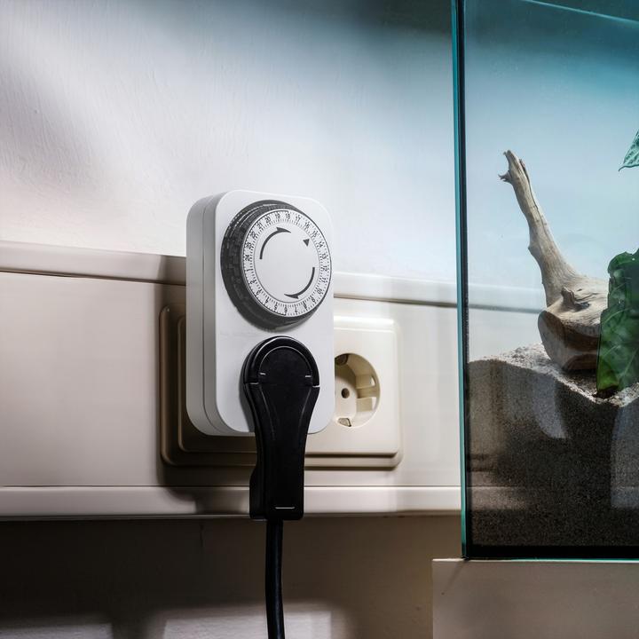 Produktbild Bachmann Zeitschaltuhr (Typ F)