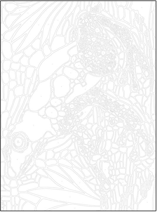 Image du produit Jackson:Coloriage et découverte