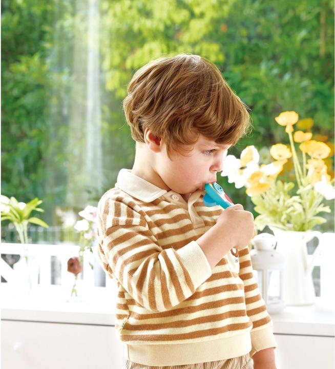Immagine prodotto Hape Kinder-Kazoo