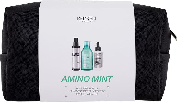 Redken Amino-Mint Shampoo (Flüssiges Shampoo, 250 ml)