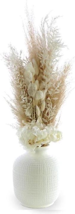 Soli Collection All White (Dried flowers)