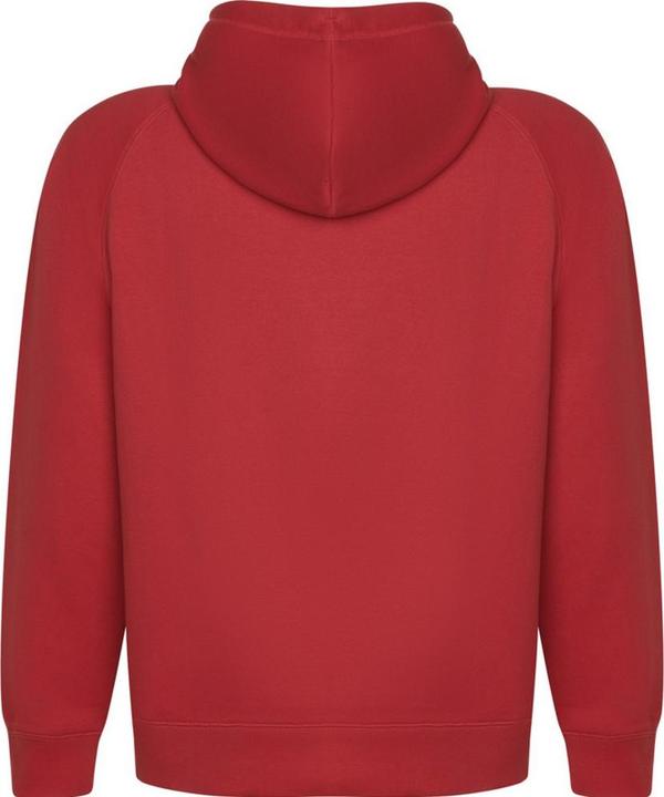 Produktbild Alpinia Vinson Kapuzenpullover (M)