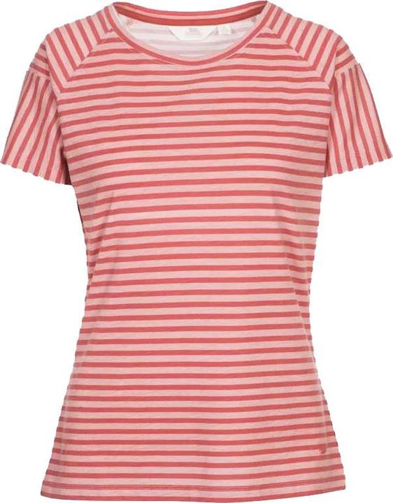 Rabarbaro rosso a strisce