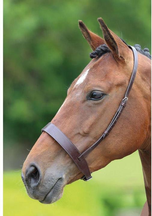 Immagine prodotto Velociti UTER1068 P