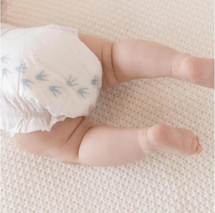 Image du produit Pingo Couches écologiques (Taille 4, Pack mensuel, 240 pièce(s))