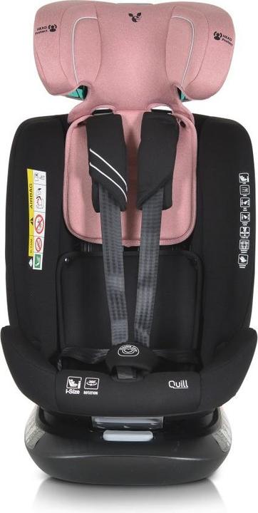 Produktbild Cangaroo i-Size Kindersitz Quill (Reboarder)
