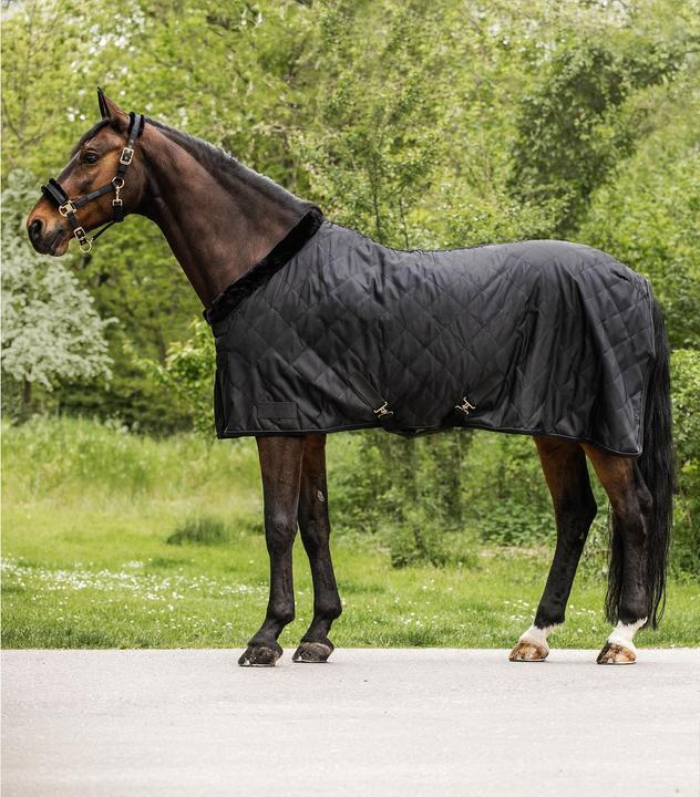 Produktbild Waldhausen Exclusive 50 g (155 cm)