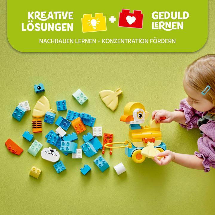 Actual product image LEGO Tiere auf Rädern 3-in-1-Set (10448)