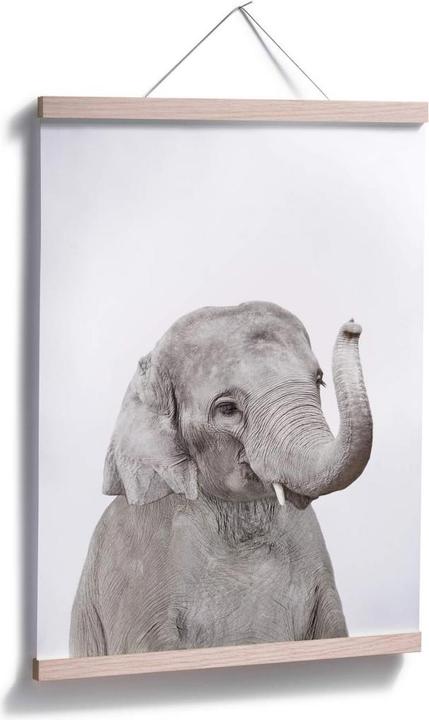 Image du produit Trenddeko Baby Elefant (50 x 60 cm)