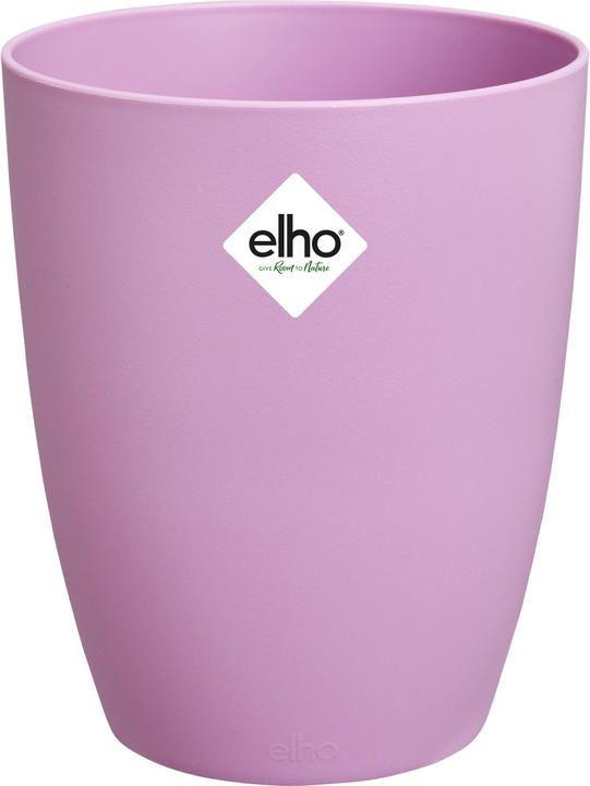 Produktbild Elho Brussels Orchidee Hoch (13 cm)