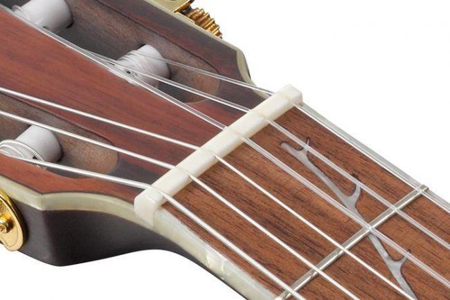 Actual product image Ibanez Tim Henson Signature TOD10N Transparent Black Flat rate elektrisch-akoestische klassieke gitaar (Classical guitar, Nyatoh wood, Sapeli wood, Spruce)