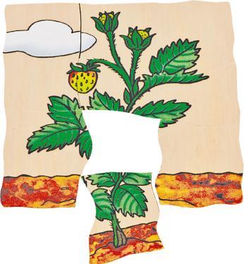 Produktbild Beleduc Erdbeere (30 Teile)