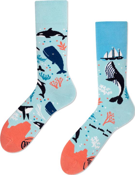 Image du produit Many Mornings Ocean Life (Une unité par pack, 43 - 46)