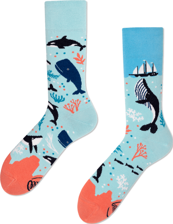 Actual product image Many Mornings Ocean Life (Single pack, 39 - 42)
