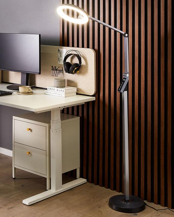 Image du produit Beliani Lampadaire gris foncé LED CARINA (760 lm)