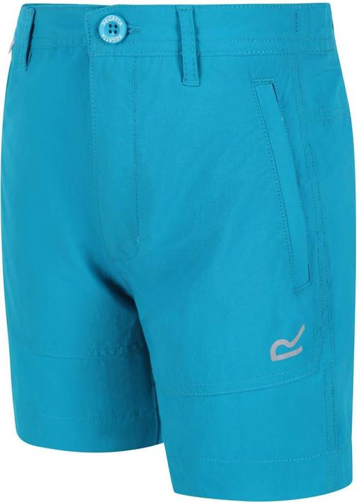 Actual product image Regatta Childrens/Kids Highton Walking Shorts (116)