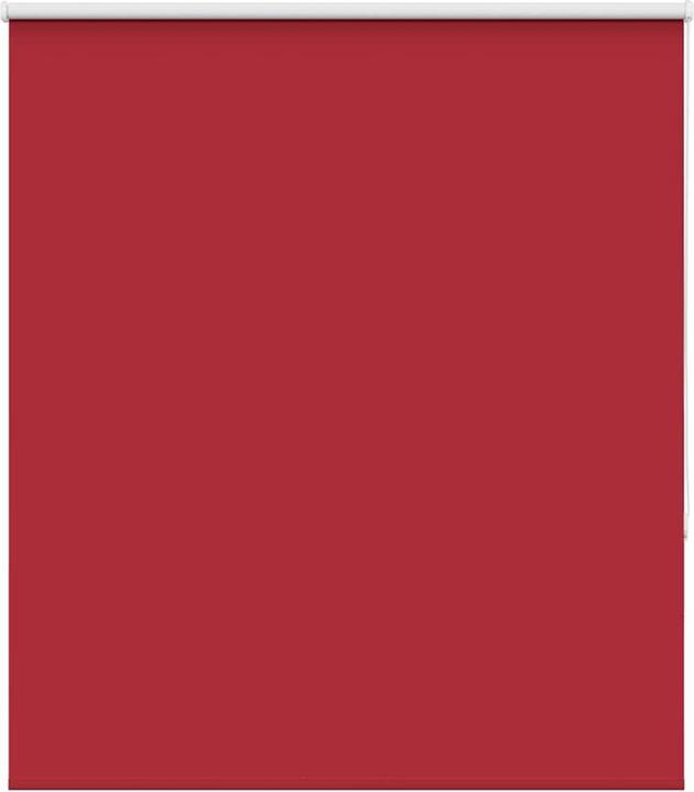 Rot