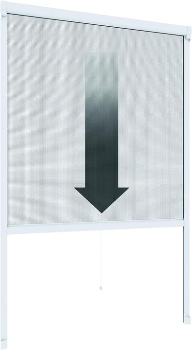 100 x 160 cm