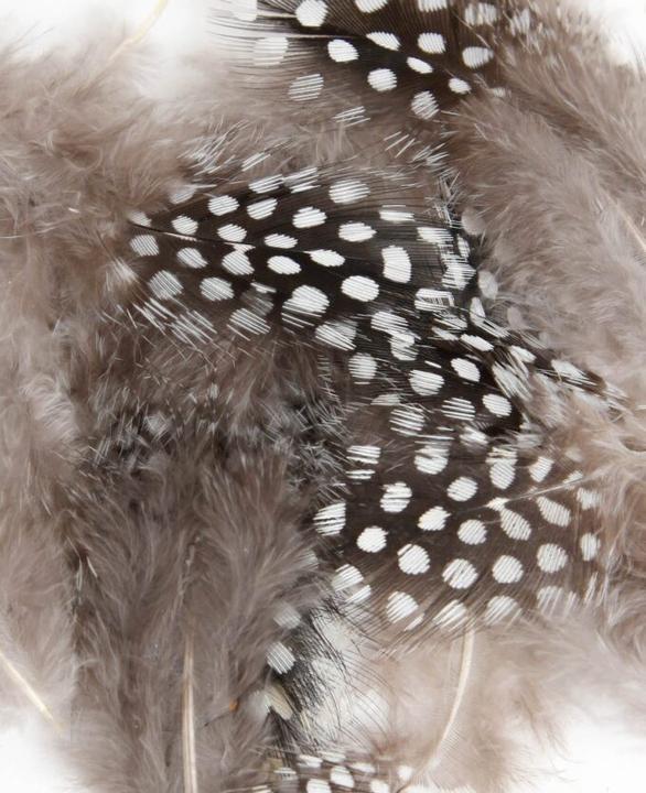 Actual product image I Am Creative Decorative feathers