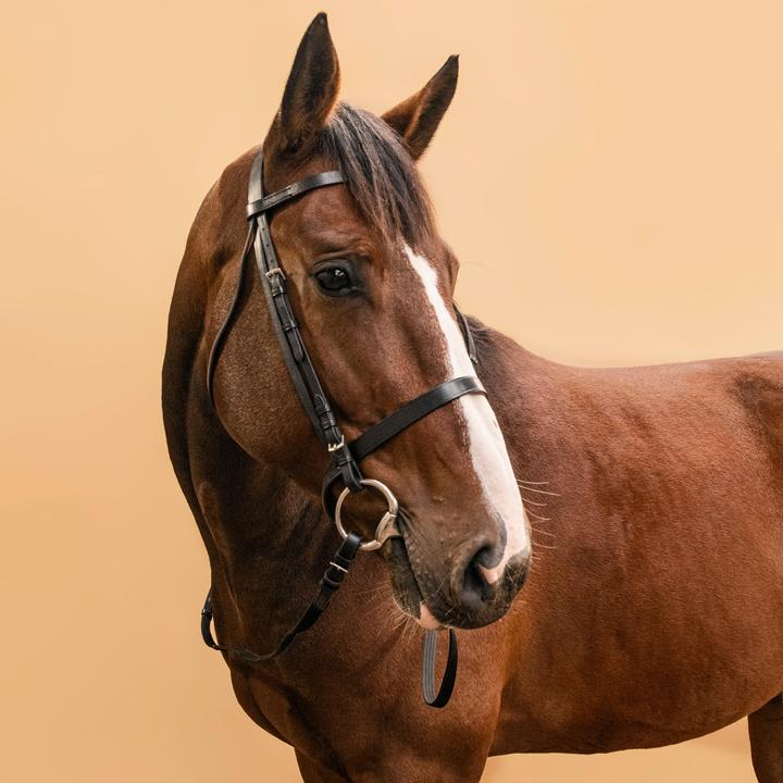 Actual product image Fouganza Snaffle Schooling Leather