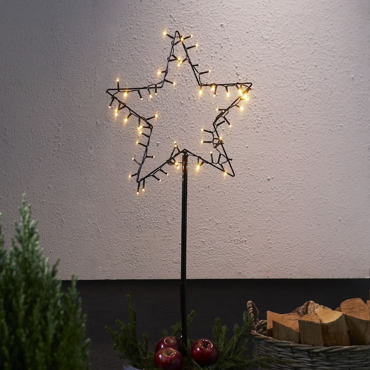 Actual product image Star Trading Star