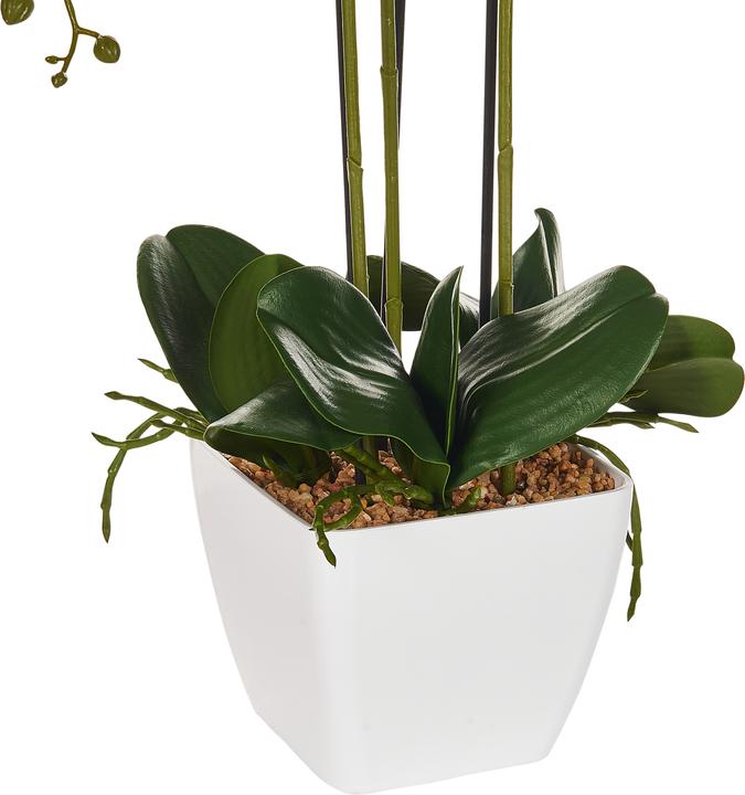 Immagine prodotto Beliani Orchidea Oncidium (59 cm)