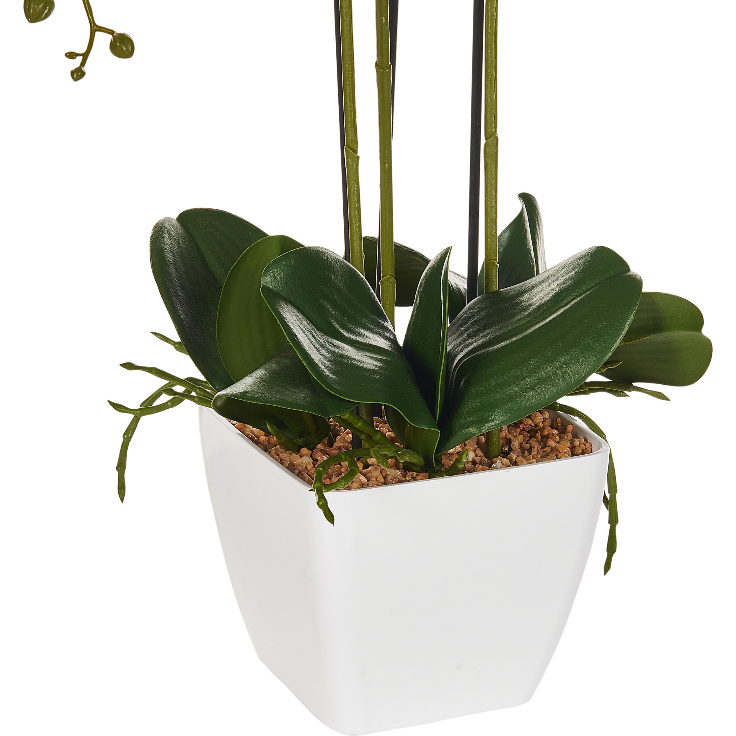 Beliani, Kunstpflanzen, Oncidium Orchid (59 cm)