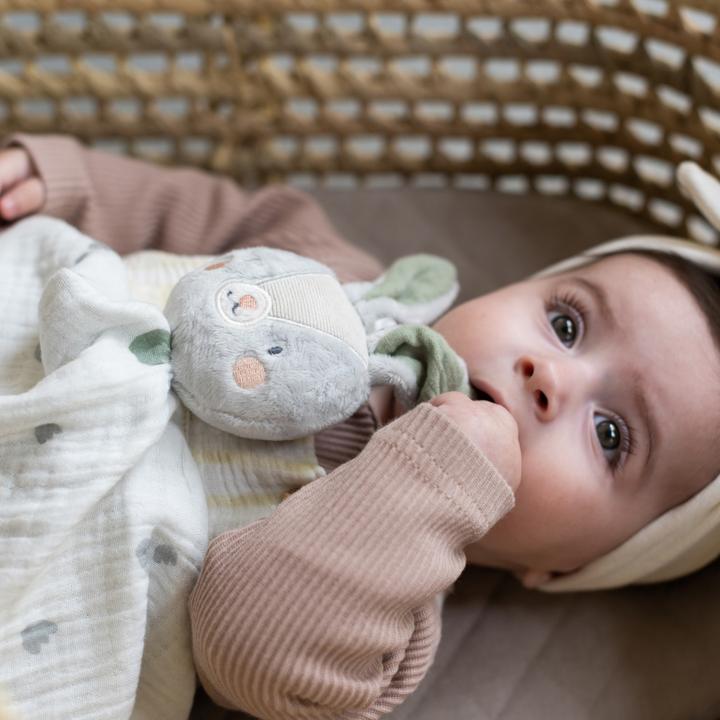 Actual product image Taf Toys Rylee the hare