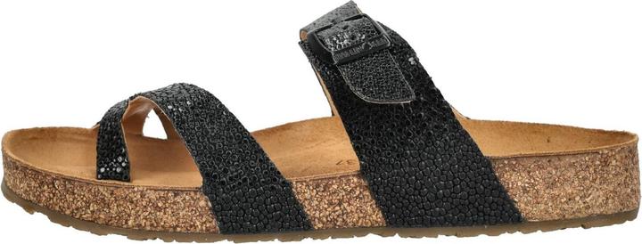 Schwarz, Schwarz Raie 1804