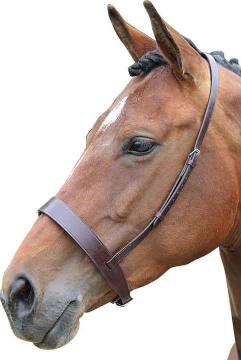 Immagine prodotto Universal Textiles Briglia in pelle