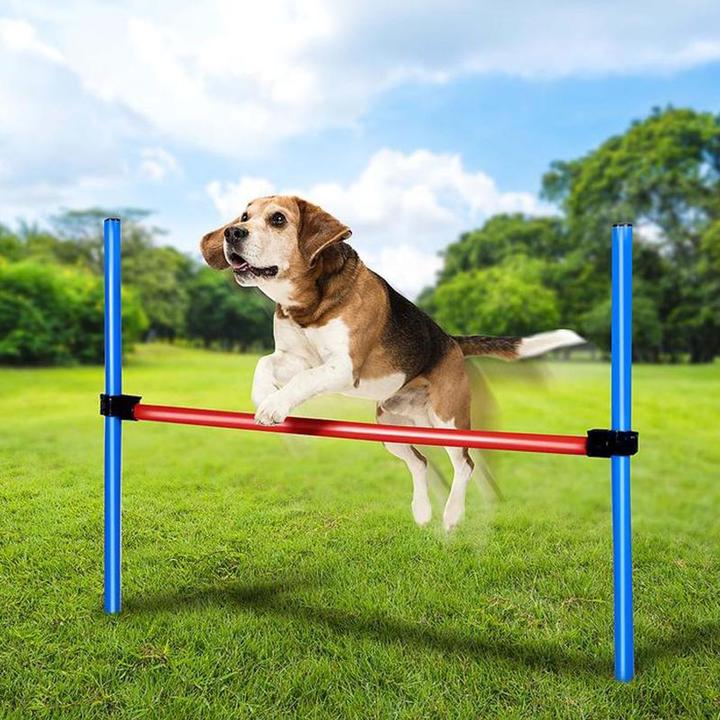 Actual product image Pet Toys Dog Obstacle Pole Set (Agility)