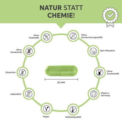 Immagine prodotto Eltabia Capsule di estratto di tè verde Matcha biologico | 100% puro senza additivi (100 pz., Pillole)