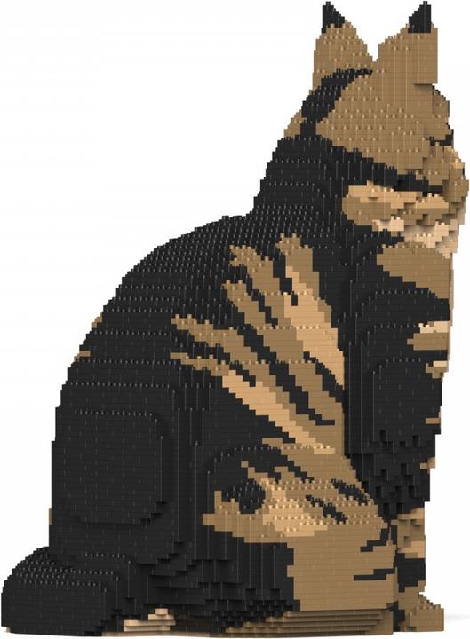 Actual product image Jekca Limited Maine Coon cat