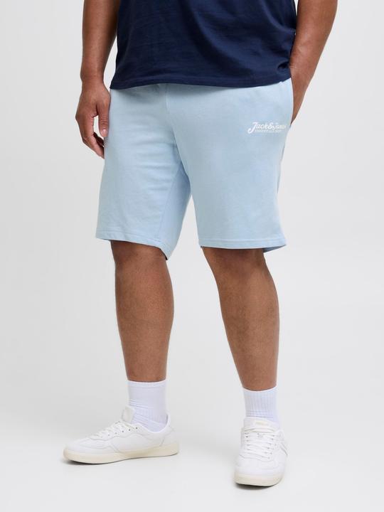 Produktbild Jack & Jones Plus Size Regular Fit Regular Fit Shorts Regular Fit Shorts (48)