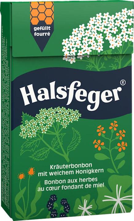 Actual product image Halsfeger Herbal candy (1 pcs., 40 g)
