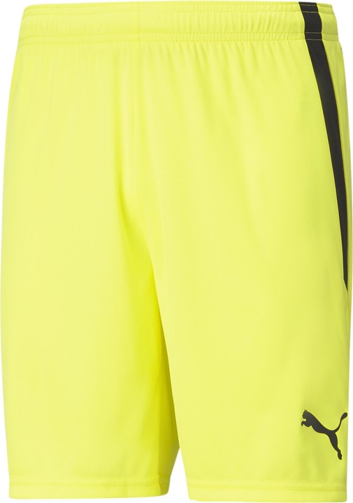 Produktbild Puma teamLIGA Shorts-704924 (48 E)