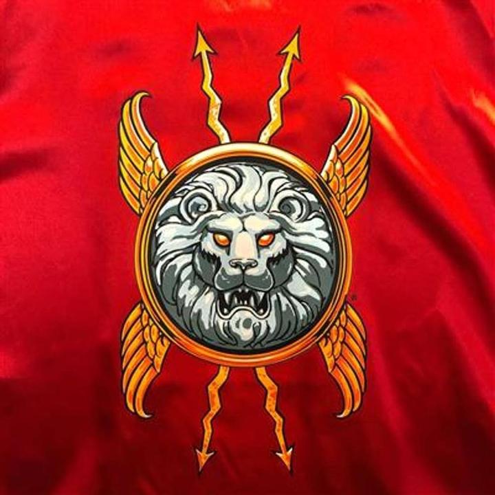 Produktbild Liontouch Römer