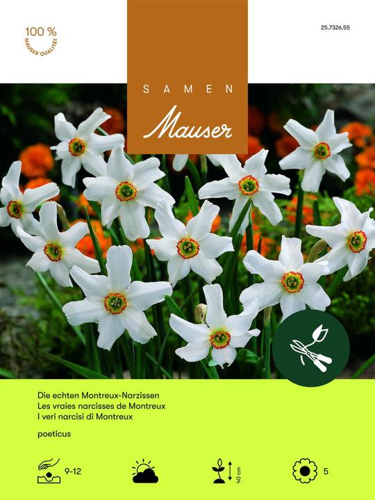 Image du produit Samen Mauser Echte Montreux-Narcisse (Bulbes de fleurs)