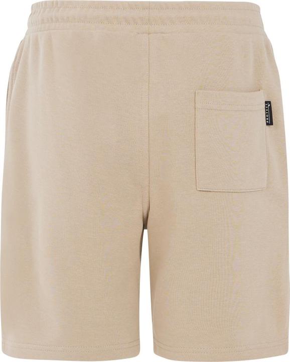 Actual product image Protest SHORTS PRTCLINT JR shorts (104)